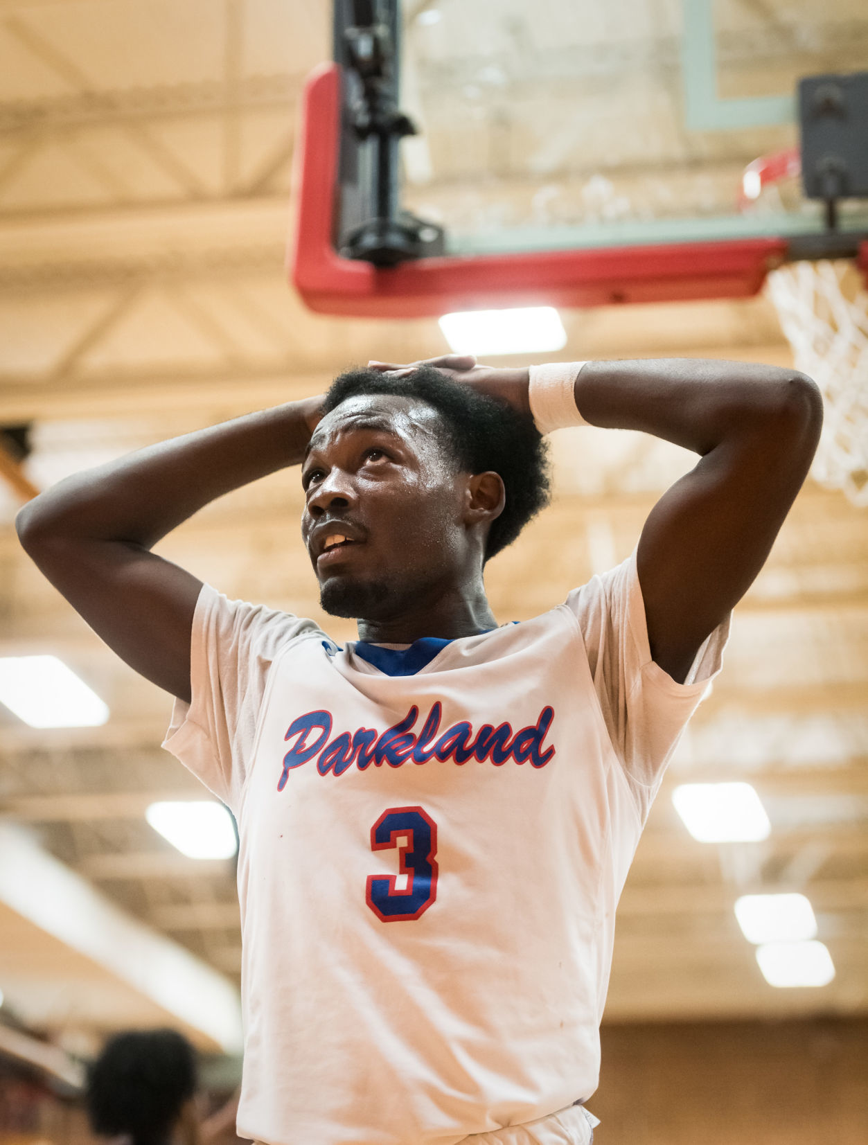 Parkland Southwest Guilford Boys Bball